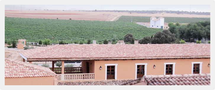 a01.jpg
