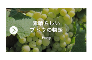 img20161209141134992443.png